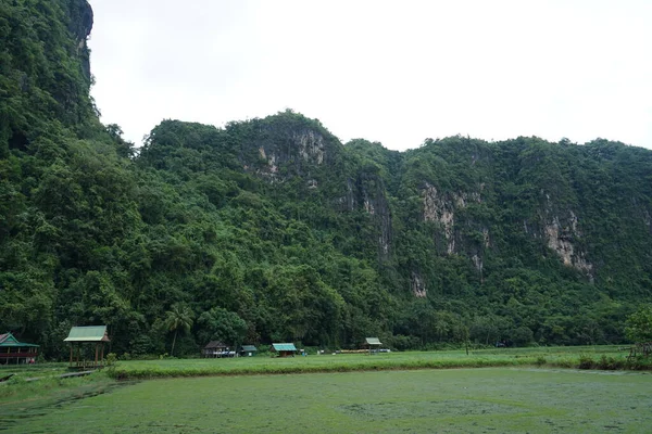 Rammang Rammang Turisztikai Attrakció Csendes Vidéki Légkörrel Gyönyörű Hegyi Panorámákkal — Stock Fotó