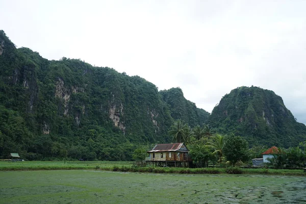 Rammang Rammang Туристическая Достопримечательность Тихой Сельской Атмосферой Красивыми Горными Панорамами — стоковое фото