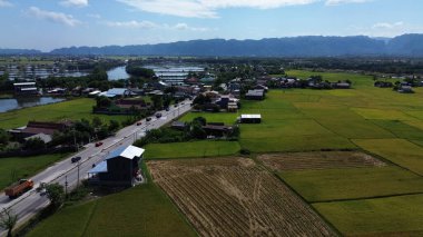Güney Sulawesi, Endonezya 'daki pirinç tarlaları