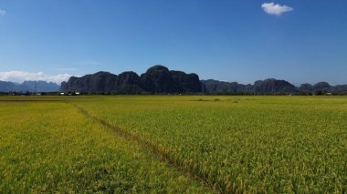 Dağların güzel manzarası