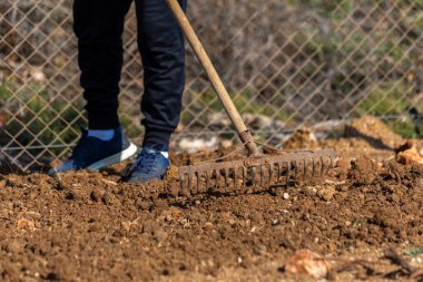 Bahçede tırmıklayan adam.