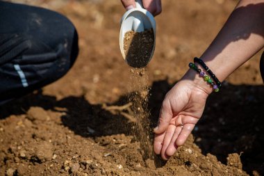 Elleri toprağa tohum ekiyor..