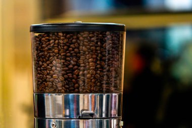 Coffee beans in the coffee grinder hopper