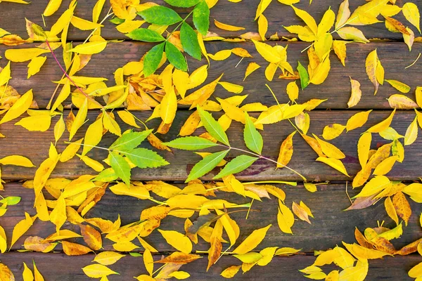 Falling autumn leaves on a wooden table.Yellow green leaves