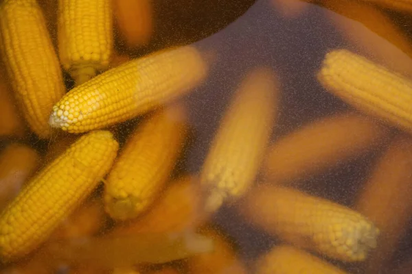 Gotowana Kukurydza Rynku Kukurydza Kolbie — Zdjęcie stockowe