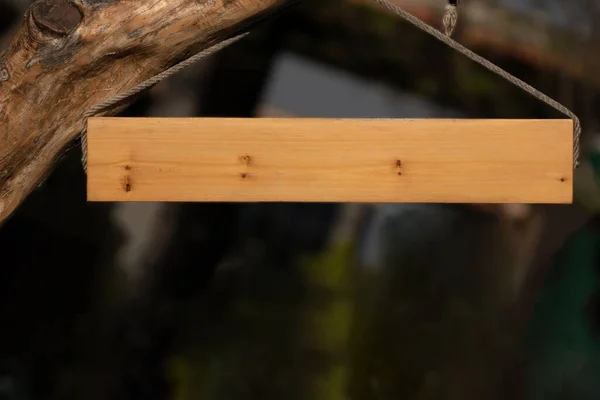 Leere Holztafel Hängt Einem Baum — Stockfoto