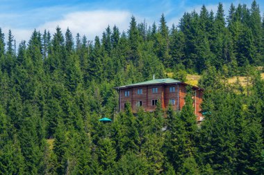 Kozalaklı ormanın arkasındaki ahşap ev..