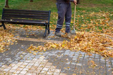 Sonbaharda ağaçlardan düşen yaprakları toplayan bir tırmık. Sarı yapraklar