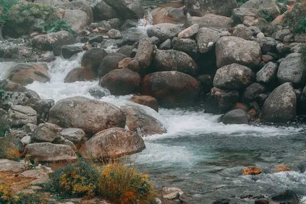 Natural spring water flowing from the mountains. Stream and stones.