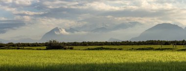 Tarlaları ve bulutlu gökyüzü olan dağ manzarası. Türkiye manzarası.