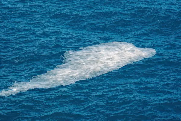 Derin mavi denizde kas yığını oluştu. Türkiye 'de deniz kirliliği
