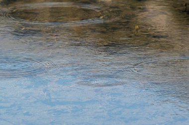 Göl suyunun üstünde yuvarlak su damlacıkları. Su damlası, fırıl fırıl döner ve su sıçrar. Deniz dokusundaki dalgalanmalar. Masaüstü / laptop duvar kağıdı. Yakın su halkaları yüzeyi etkiler..
