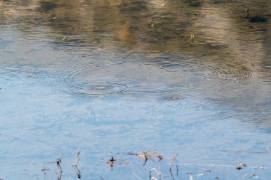 Göl suyunun üstünde yuvarlak su damlacıkları. Su damlası, fırıl fırıl döner ve su sıçrar. Deniz dokusundaki dalgalanmalar. Masaüstü / laptop duvar kağıdı. Yakın su halkaları yüzeyi etkiler..