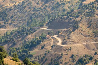 Sedir Ormanı manzarası ve Antalya Türkiye toprak yolu