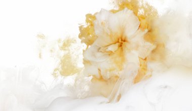 Zambak çiçeği ve beyaz arkaplanda izole edilmiş renk patlaması.