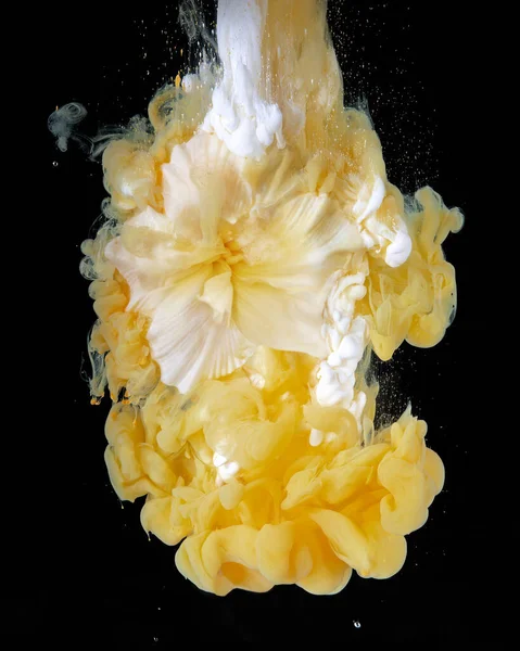 Квіти Чорнило Квітка Ліллі Кольорова Хмара Акрилового Чорнила Воді Вибух — стокове фото