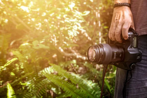 Orman Yeşilliklerinin Arasında Kamerasını Tutan Adam Fotoğrafçı Olarak Dışarıda Çekim — Stok fotoğraf