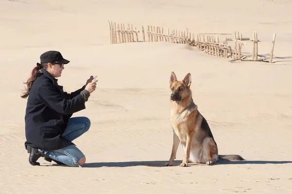 German Shepherd Dog Sitting Sand Dune Woman Using Smartphone — Stock Photo, Image