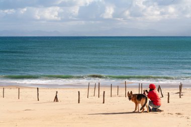 Kumsaldaki kadın ve köpek akıllı telefonla ufuk çizgisini yakalıyorlar. Güzel bir tatil manzarası. Kopyalama alanı ile.
