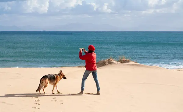 Woman Stands Beach Capturing Joy Beloved Pet Backdrop Wild Vibrant — Stock Photo, Image