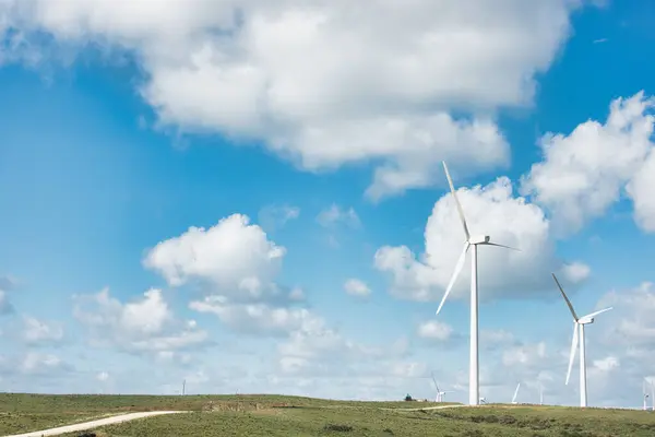 Windturbines Die Hoog Staan Een Groen Landschap Symboliseren Hernieuwbare Energie Rechtenvrije Stockfoto's