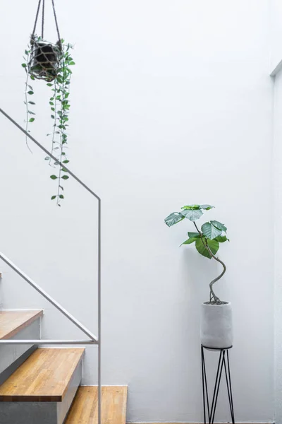 Style Moderne Escalier Maison Design — Photo