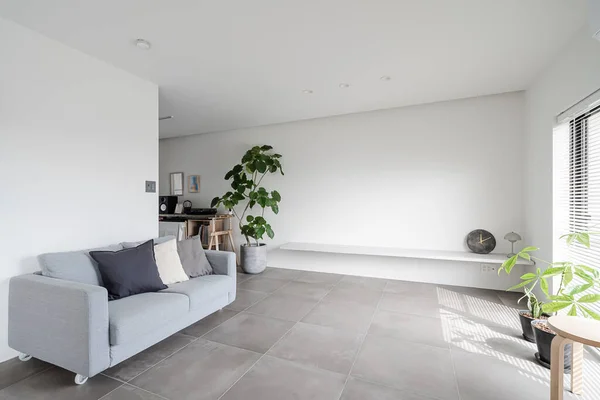 Simple modern style living room with white tone