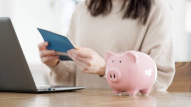 Banka hesaplarını kontrol eden bir kadın.