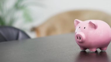 Domuz para kutusu masanın üstünde.