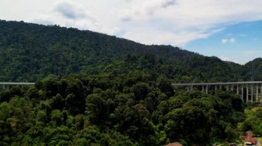 Giam Kanching, Rawang, Selangor 'da sık ağaçların bulunduğu yemyeşil bir ormanın havadan görünüşü..