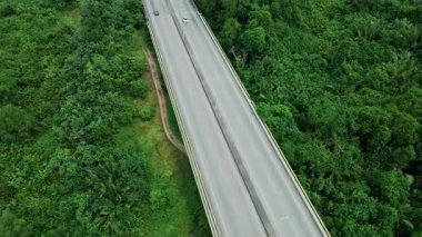Yoğun yeşil ormanlarla çevrili boş bir otoyolun havadan görünüşü.