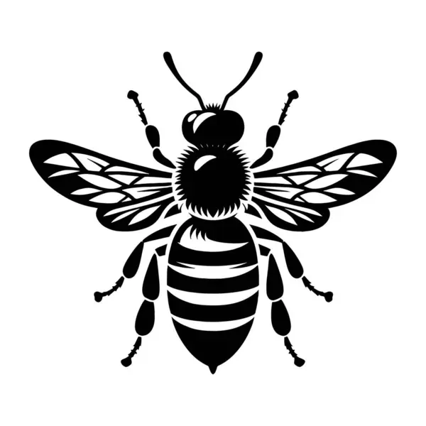 Arı simgesi siluet vektör çizimi