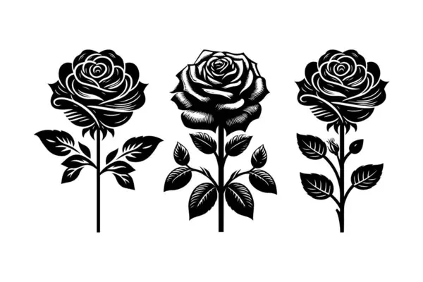 Beyaz arkaplanda izole edilmiş gül siluetleri koleksiyon vektör tasarımı