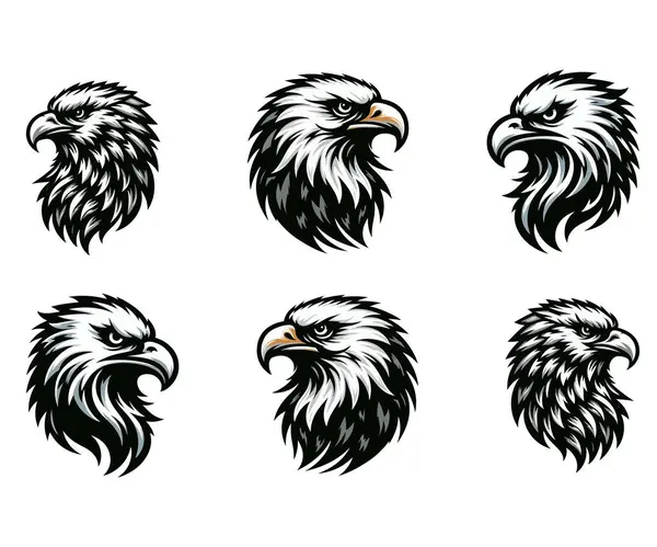 Kartal başlı siluet logosu vektör sanat çizimi tasarım şablonu. Kartal baş vektör illüstrasyon demeti tasarımı.