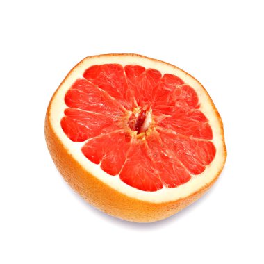 Greyfurtu beyaz arkaplanda ikiye böl