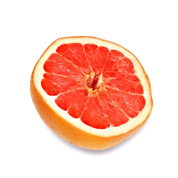 Greyfurtu beyaz arkaplanda ikiye böl