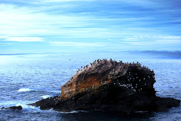 Морской Пейзаж Атлантическом Побережье Островом Море — стоковое фото