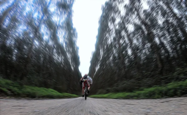 Ποδηλάτης Πετάλι Ένα Χωματόδρομο Μέσα Από Δάσος — Φωτογραφία Αρχείου