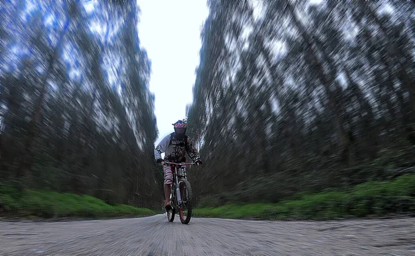 Ποδηλάτης Πετάλι Ένα Χωματόδρομο Μέσα Από Δάσος — Φωτογραφία Αρχείου