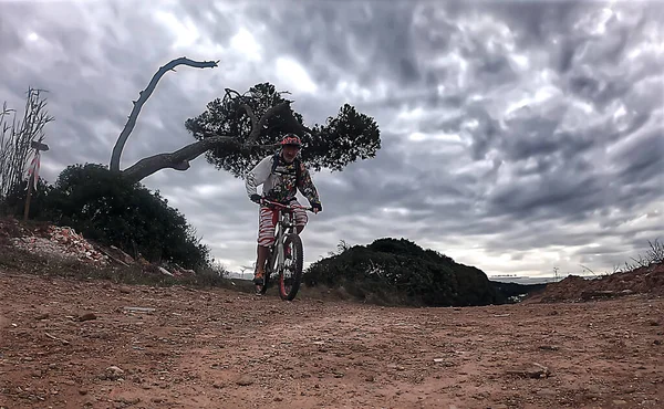 Ciclista Uma Estrada Rural Com Uma Árvore Torcida — Fotografia de Stock