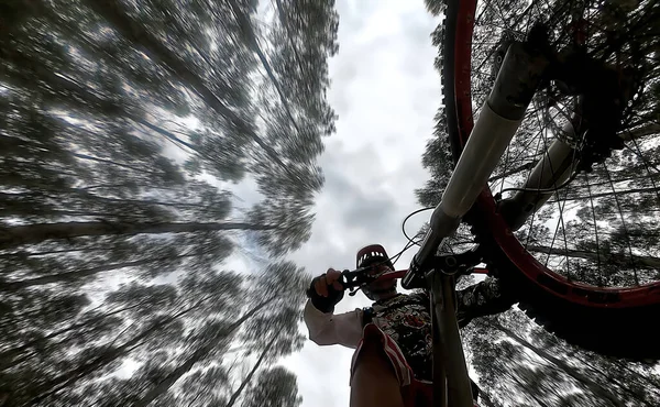 Cyklist Botten Perspektiv Omgiven Träd — Stockfoto