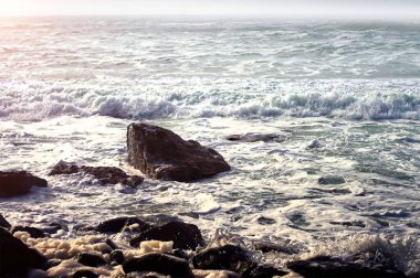 Atlantik Okyanusu 'nda kayalık bir sahili olan deniz burnu.