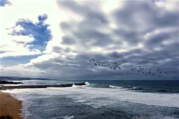 Seascape predicting a storm with a flock of birds in flight