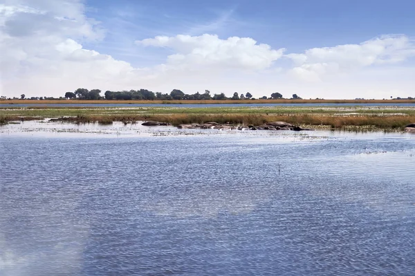 Afrikanische Landschaft Ufer Eines Flusses Einer Savanne — Stockfoto