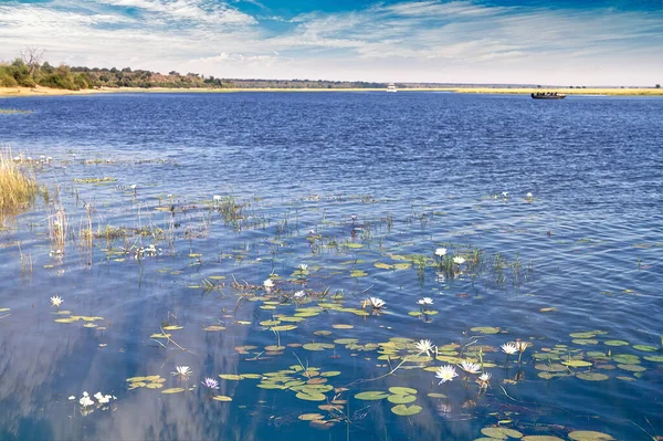 Afrikanische Landschaft Ufer Eines Flusses Einer Savanne — Stockfoto