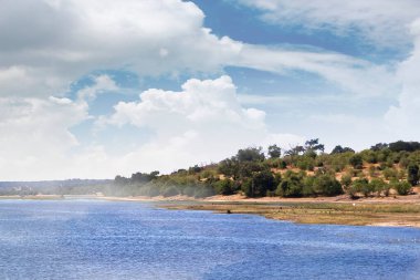 Gündüz vakti bir Afrika savanasından görüntü