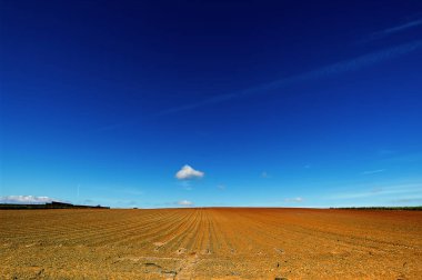 Tarlalı kırsal alan ve bulutlu gökyüzü.