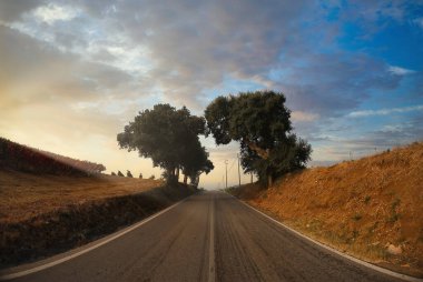 Portekiz, Avrupa 'da gün batımında ağaçlı köy yolu