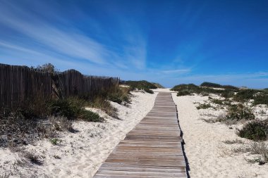 Kumsaldaki kum tepelerinin üzerinde mavi gökyüzü olan ahşap bir geçit.