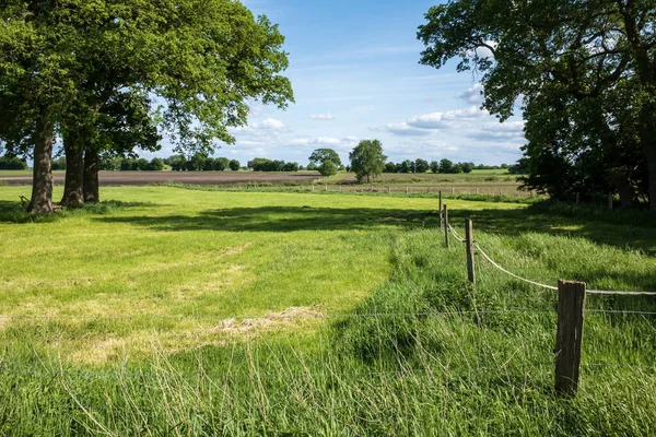 美しい田園風景 緑の芝生 木製の柵で草原と空の背景に — ストック写真